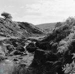 Cogden Gill, Grinton Moor